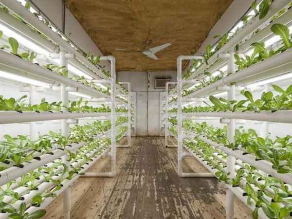shipping container farms