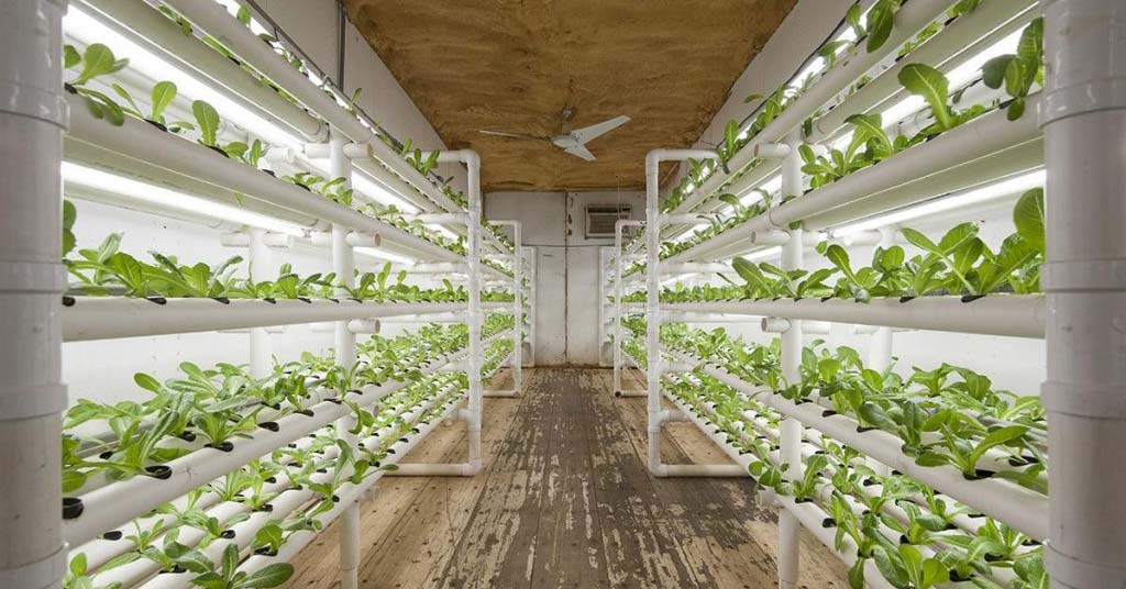 shipping container farms