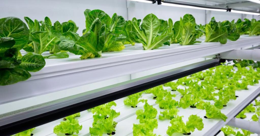sustainable vertical farming solution