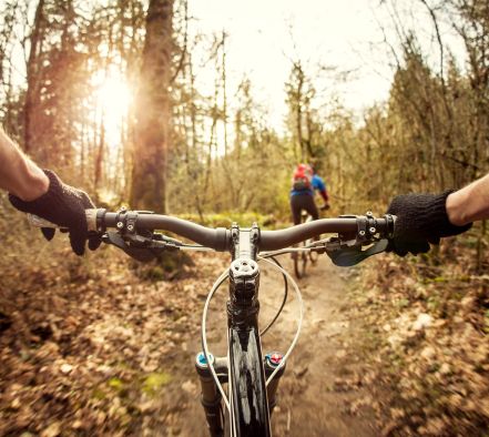 St Stithians College's Mountain Biking